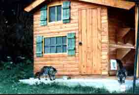 chalet de pension avec enclos de 70 m2 herbe et arbres